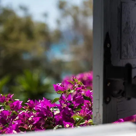 Ostria & 4* Aliki (Paros)